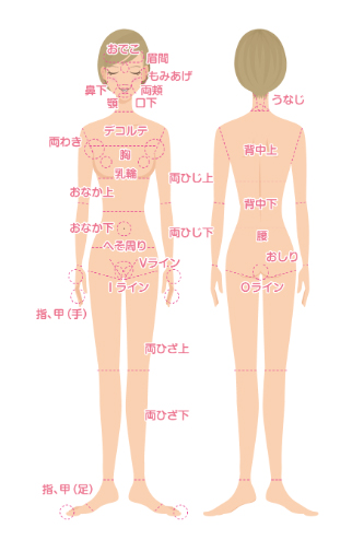 対応パーツのイメージ